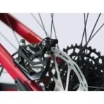 Spicy 6.9 Carbon 2021 – Image 5