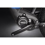 Hardnine 7 2021 – Image 6
