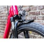 Verve +2 LowStep 300Wh 2021 – Image 13