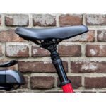 Verve +2 LowStep 300Wh 2021 – Image 14