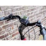 Verve +2 LowStep 500Wh 2021 – Image 8
