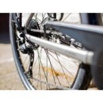 Verve +2 LowStep DT 300Wh 2021