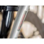 Verve +2 LowStep DT 300Wh 2021 – Bild 19