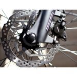 Verve +2 LowStep DT 300Wh 2021 – Bild 21