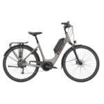 Verve +2 LowStep DT 500Wh 2021 – Bild 2