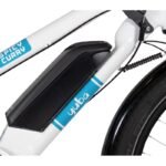 Spicy Curry V3 Bosch 500Wh – Image 3