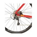 E-Sensium 300 2020 – Image 8
