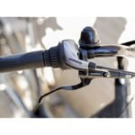 Verve +1 LowStep 500Wh 2021 – Image 12