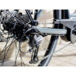 Verve +1 LowStep 500Wh 2021