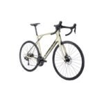 Pulsium 5.0 disc 2021