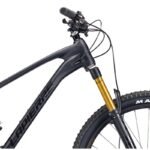 Zesty AM 9.9 Carbon 2021 – Bild 3